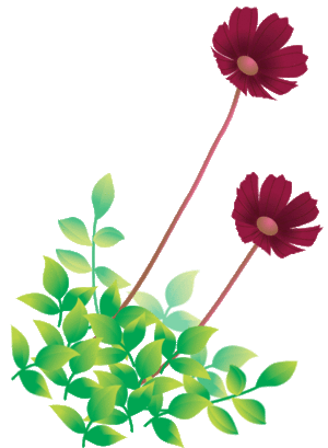 irasuto