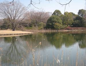syouwakinenkouen