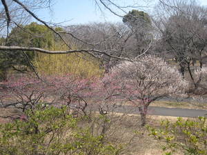 syouwakinenkouen