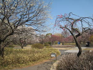 syouwakinenkouen