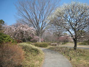 syouwakinenkouen