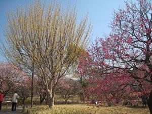 syouwakinenkouen