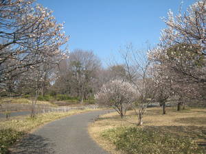 syouwakinenkouen