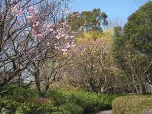 syouwakinenkouen