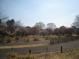 syouwakinenkouen