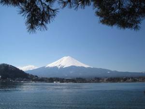 fuji