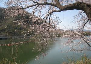 tukuiko