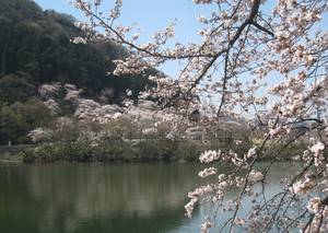 tukuiko