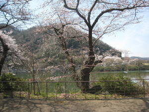 tukuiko