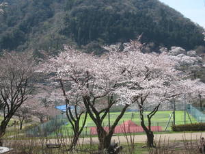tukuiko
