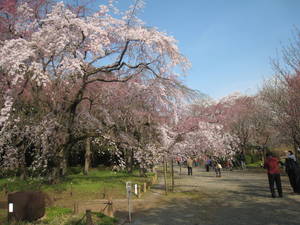 jindaiji