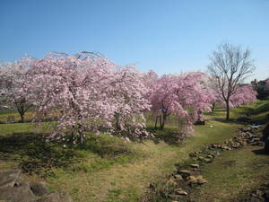 katakura
