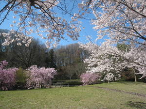 katakura