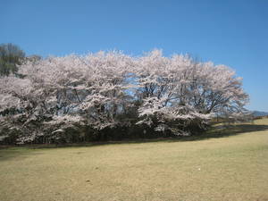 katakura