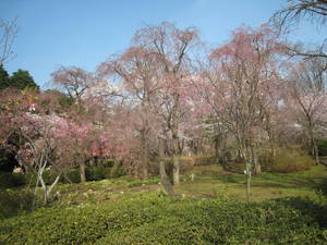 jindaiji