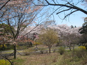 syouwakinenkouen