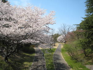 syouwakinenkouen
