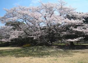 syouwakinenkouen