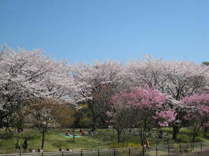 syouwakinenkouen