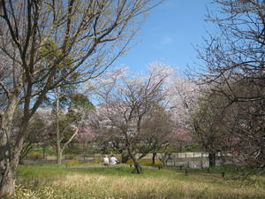 syouwakinenkouen