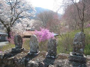 ryuzuin
