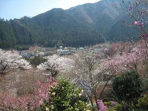 ryuzuin
