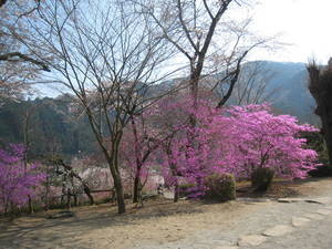 ryuzuin