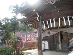 imakuma