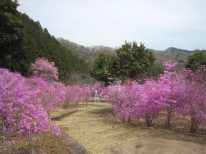 yuyakenosato