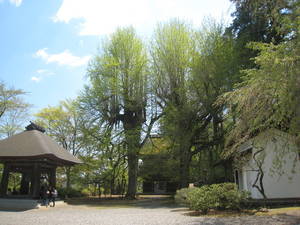 koutokuji