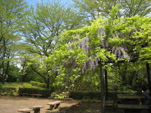 katakura
