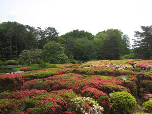 jindai