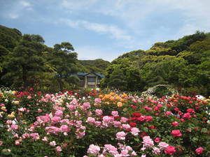 kamakura