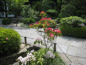 kamakura