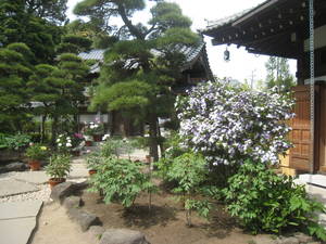 kamakura