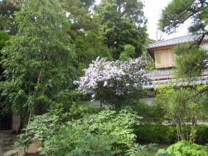 kamakura