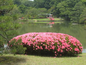 rikugien