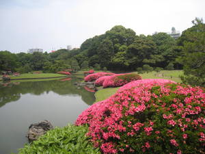 rikugien