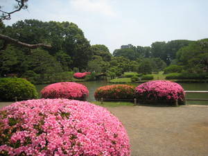 rikugien