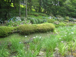 yakusiike
