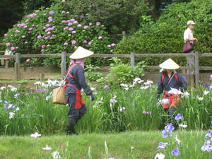 yakusiike