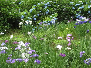 yakusiike