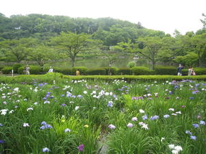 yakusiike