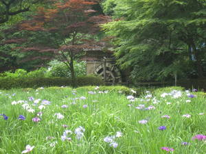yakusiike