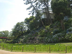 odawara