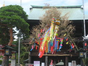 takahatafudou