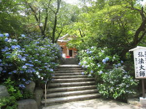 takahatafudou
