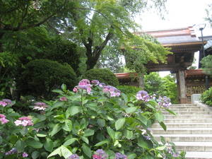 takahatafudou