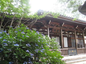 takahatafudou