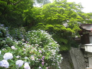 takahatafudou